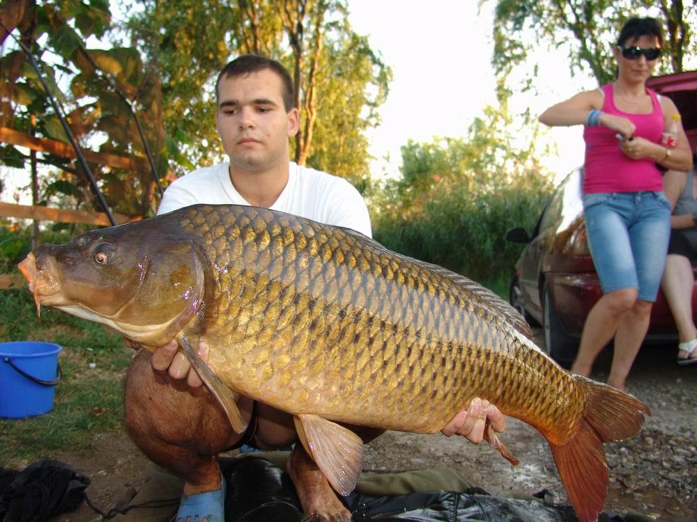 Somnmania ed a-IX-a - resize20of20dsc069931.JPG